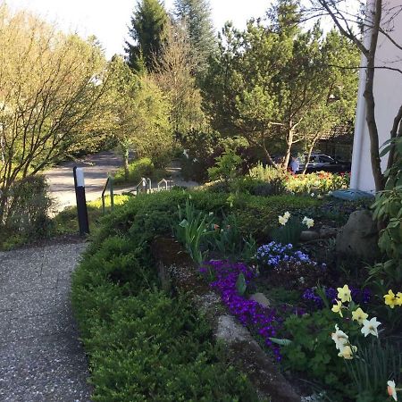 Traumhafte See- Und Alpensicht Uberlingen Extérieur photo