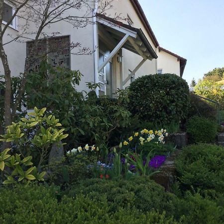 Traumhafte See- Und Alpensicht Uberlingen Extérieur photo
