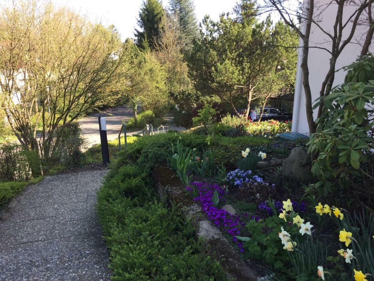 Traumhafte See- Und Alpensicht Uberlingen Extérieur photo