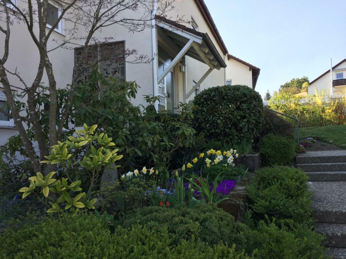 Traumhafte See- Und Alpensicht Uberlingen Extérieur photo